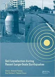 Soil Liquefaction during Recent Large-Scale Earthquakes