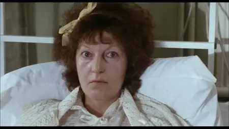 Britannia Hospital (1982)