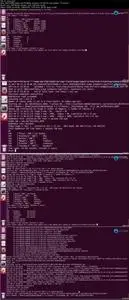 Hands-on HADOOP Masterclass - Tame the Big Data!