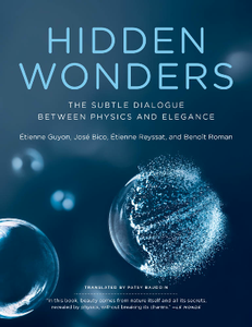 Hidden Wonders : The Subtle Dialogue Between Physics and Elegance