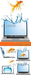 Way the goldfish