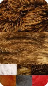 Textures - Skin of animals