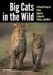 Big Cats in The Wild: A Visual Essay of Lions, Jaguars, Leopards, Pumas, and More (Repost)