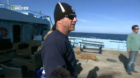 National Geographic Wild: Shark Men - Can't Catch a Break (2012)