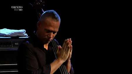 Avishai Cohen with Strings - Nancy Jazz Pulsations 2013 [HDTV 1080p]