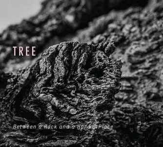 Tree - Between a Rock and a Hard Place (2019) [Official Digital Download 24/96]