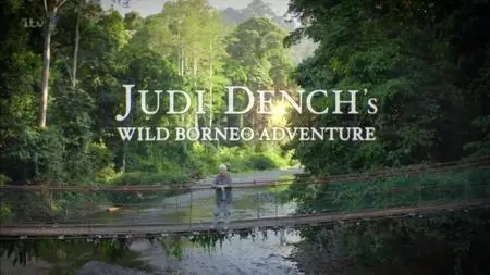 ITV - Judi Dench's Wild Borneo Adventure (2019)