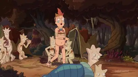 Rick and Morty S04E09