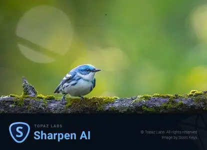 Topaz Sharpen AI 3.1.0 (x64)