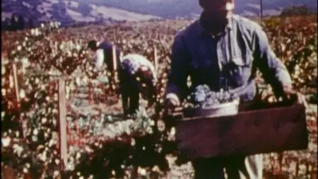 Jonestown: The Life and Death of Peoples Temple (2006)