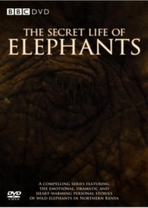 The Secret Life Of Elephants (2009)