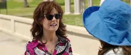 The Meddler (2015)