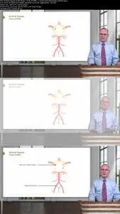 Head and Neck Anatomy
