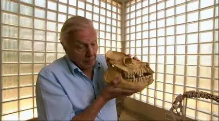 Attenborough and the Giant Egg (2011)