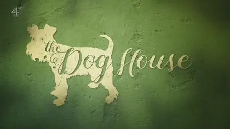 Channel 4 - The Dog House Series 1 (2019)