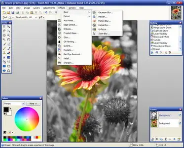 Paint.NET 3.5.4 Portable