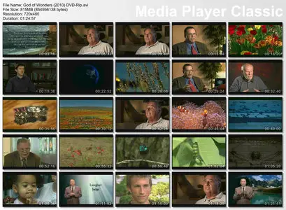 God of Wonders (2010)