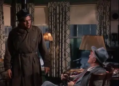 The Long, Long Trailer (1953)
