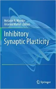 Inhibitory Synaptic Plasticity