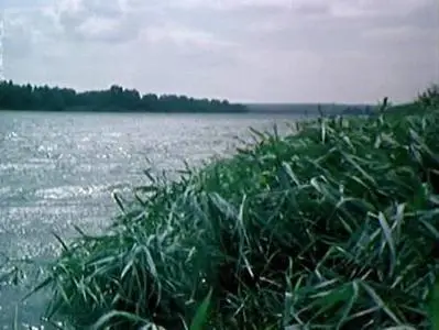 Sergei Gerasimov - Tikhiy Don ('And Quiet Flows the Don') (1957)