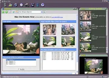 Perspective Software Blue Iris 2.61.05