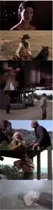 King of Texas (2002)