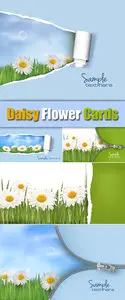 Daisy, Camomile Cards Vector