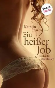 Katalin Sturm - Sexy Secretaries - Ein heißer Job - Band 4