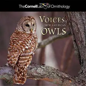 The Cornell Lab Of Ornithology - Voices Of North American Owls (2CD) (2006)