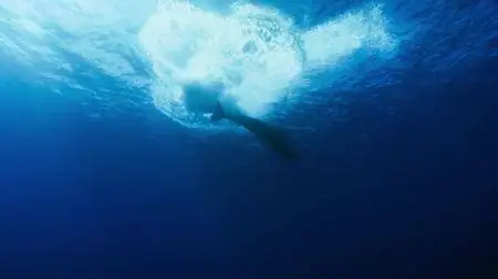 Blue Planet II S01E04