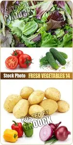 Fresh vegetables 14 - Stock Photo