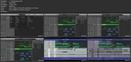 Logic Pro X: Customize Logic Pro X & Work Like A Pro