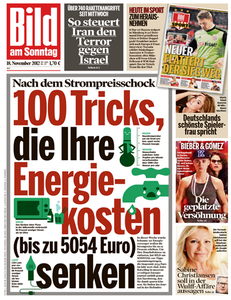 Bild am Sonntag vom 18.11.2012