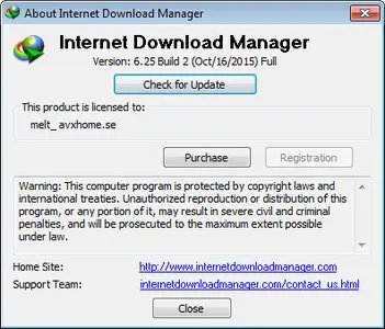 Internet Download Manager 6.25 Build 2 Multilingual