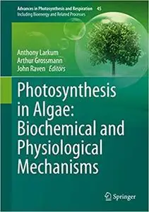 Photosynthesis in Algae: Biochemical and Physiological Mechanisms: Biochemical and Physiological Mechanisms (Advances in