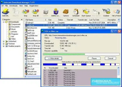 Internet Download Manager ver. 5.04 Build 4