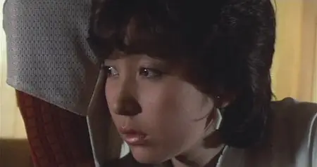 Shirobara gakuen: Soshite zen'in okasareta / White Rose Campus: Then Everybody Gets Raped (1982)