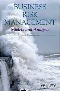 Business Risk Management: Models and Analysis (Repost)