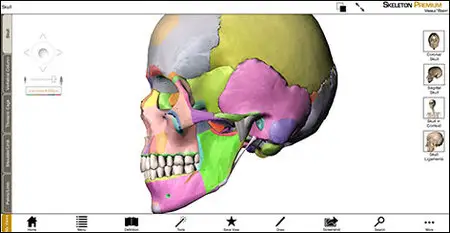Visible Body Skeleton Premium v2.0.0 MacOSX (Repack)