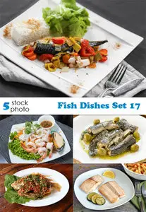 Photos - Fish Dishes Set 17