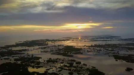 PBS - NATURE: Cuba's Wild Revolution (2020)
