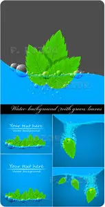 Water background with green leaves vector