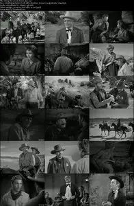 Along the Great Divide (1951)