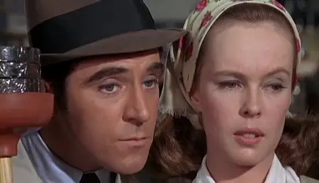Sweet November (1968) - Robert Ellis Miller