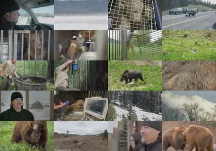 Growing Up Grizzly: A Tale Of Two Orphans (2022)