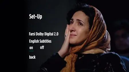 Shirin (2008)