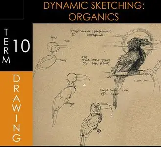 Foundation Patreon Term 10 - Dynamic Sketching: Organics