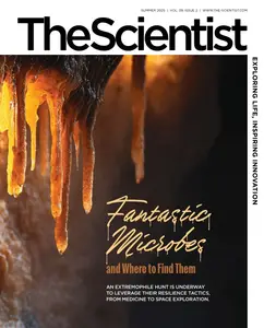 The Scientist - Summer 2025