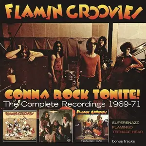 Flamin' Groovies - Gonna Rock Tonite! The Complete Recordings 1969-71 (2019)