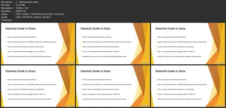 The Essential Guide To Stata